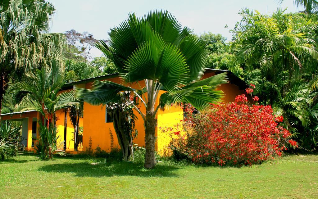 El Ranchito Surfcamp Hotel Pedregal Luaran gambar